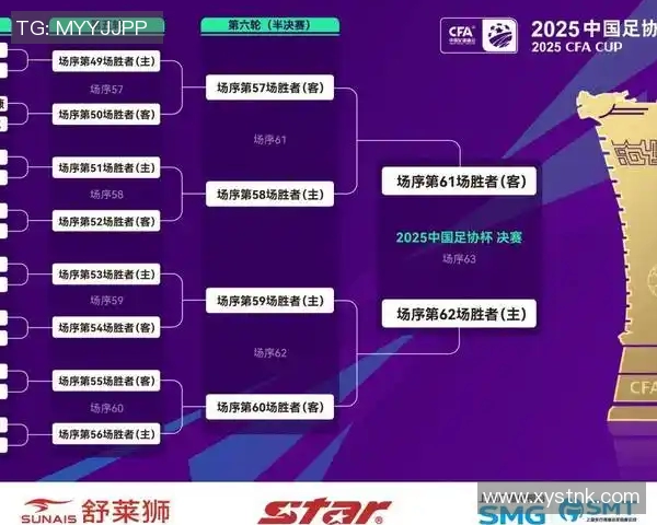 足协杯激战山东鲁能对阵国安精彩直播全程回顾与分析 足协杯激战山东鲁能对阵国安精彩直播全程回顾与分析