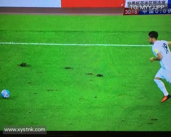 中国与伊朗第二场比赛精彩回放分析与赛后点评分享